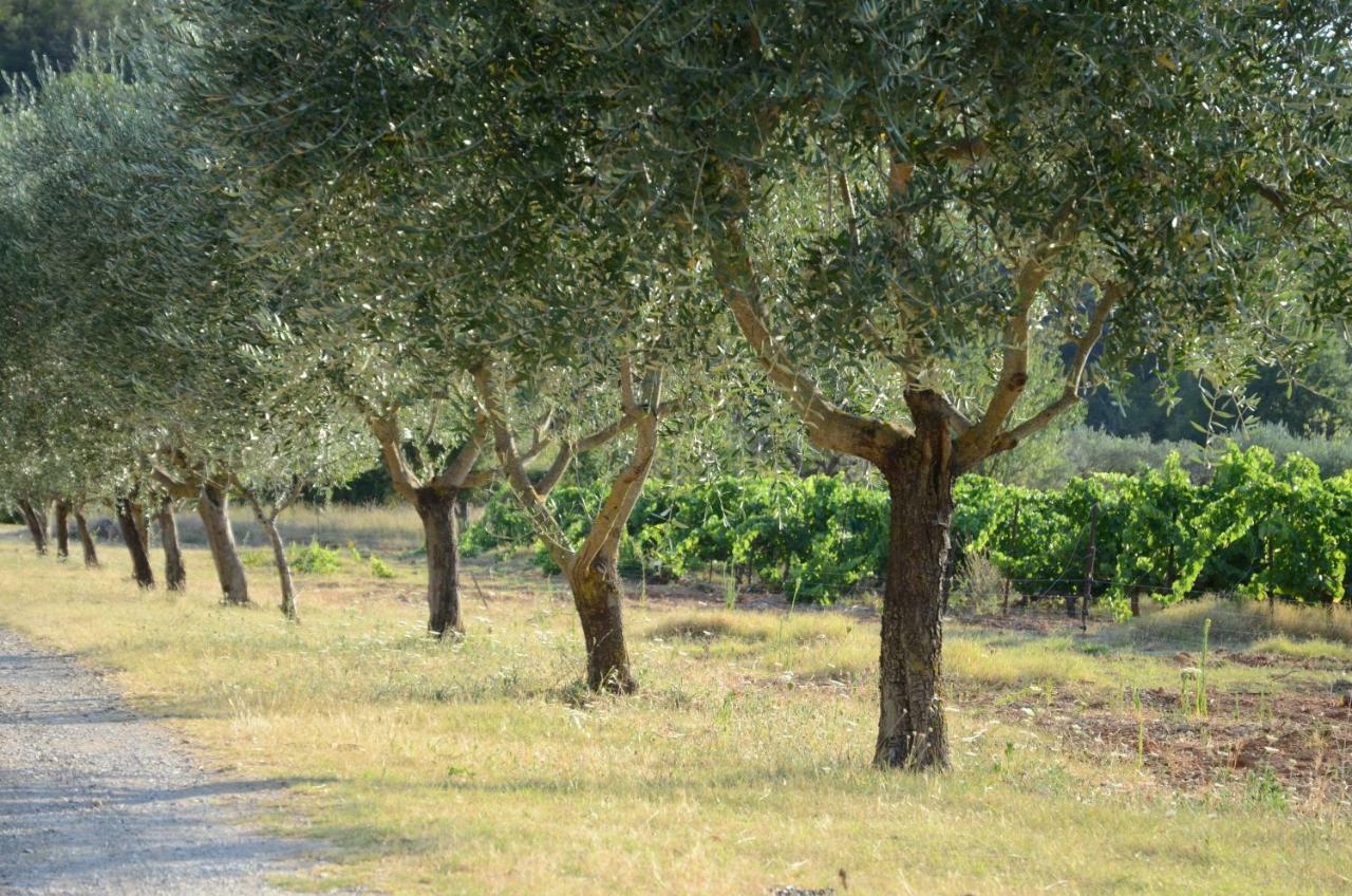 شقة Domaine Hemmitage ساليرنيس المظهر الخارجي الصورة